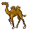 camell imatges-animades-gif